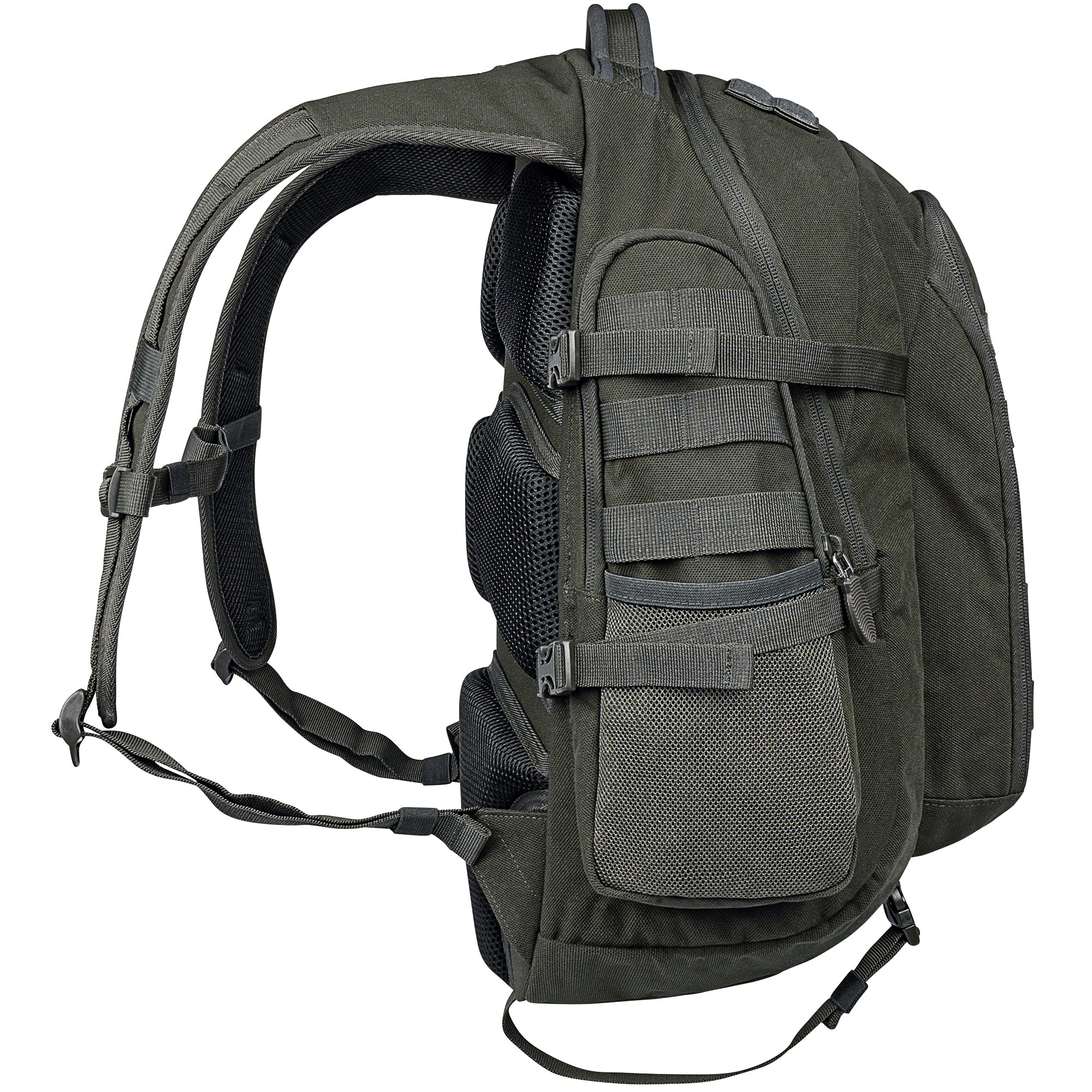 DÖRR ProTac taktischer Outdoor-Rucksack oliv mit MOLLE-System, Seitenansicht mit verstellbaren Schultergurten, Brustgurt und Seitentaschen