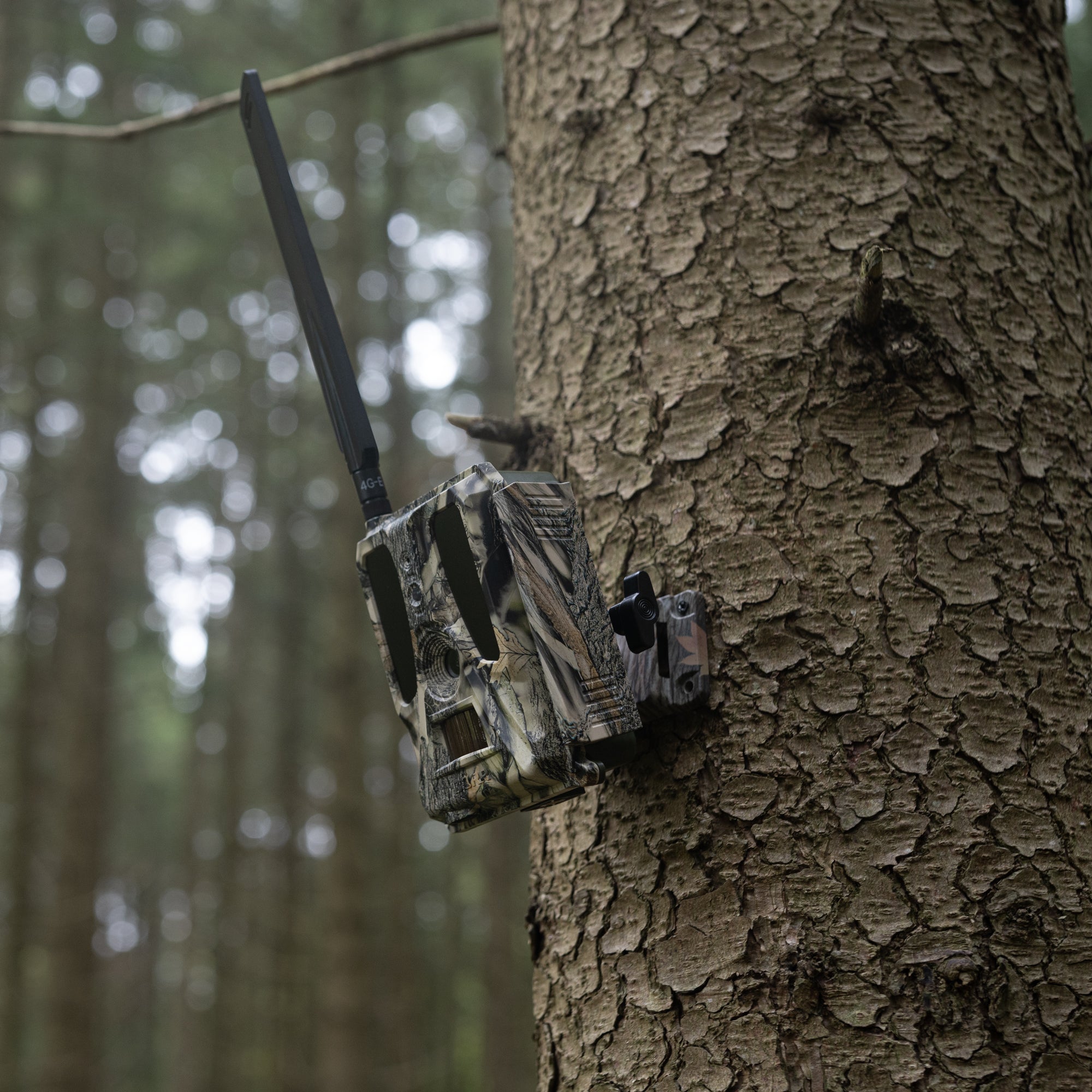 DÖRR Wildkamera Haltesystem im Wald am Baum montiert, mit eingespannter DÖRR Cloud 4G Pro Wildkamera
