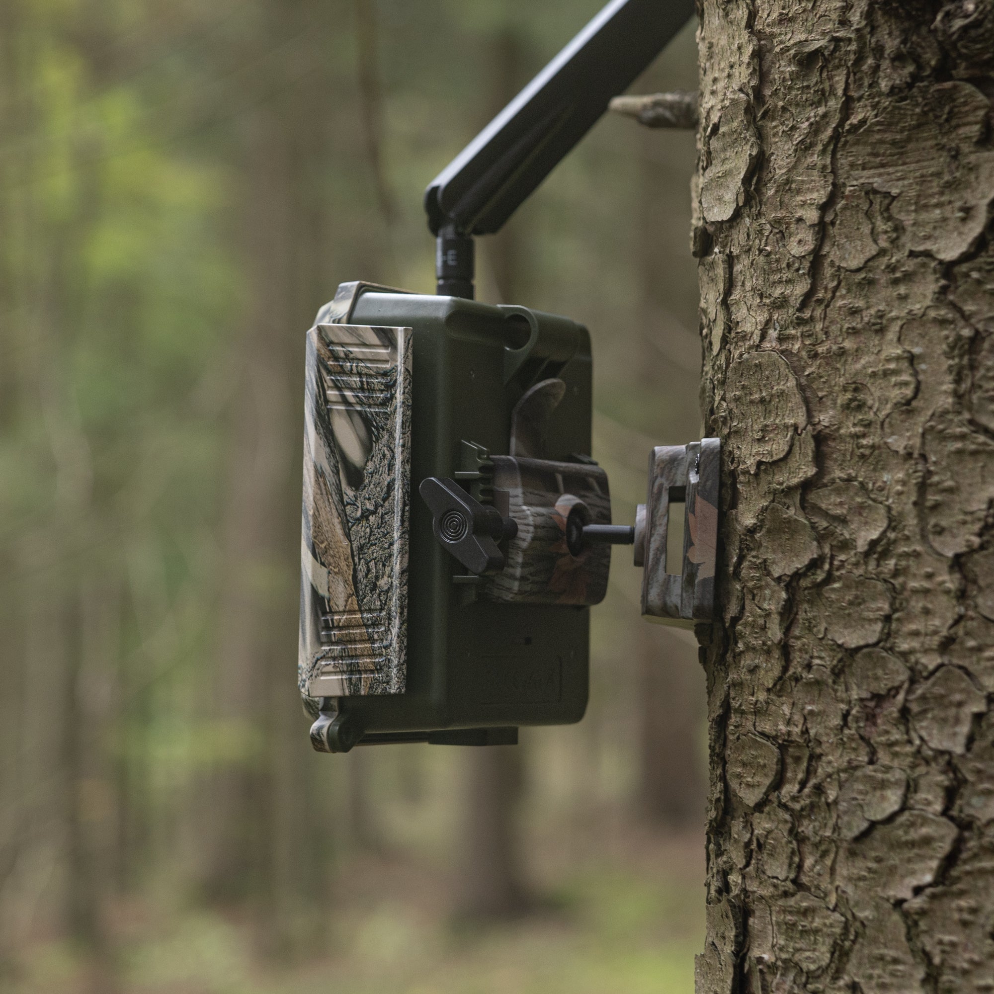 Seitliche Ansicht des DÖRR Wildkamera Haltesystems im Wald am Baum montiert, mit eingespannter DÖRR Cloud 4G Pro Wildkamera