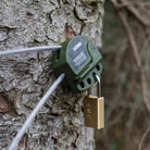 DÖRR Kabelschloss um einen Baum geschlungen und mit einem Messing-Zahlenschloss gesichert