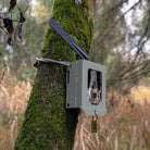 DÖRR Wildkamera Cloud 4G Pro in einem Metallschutzgehäuse, mit DÖRR Kabelschloss an einem Baum befestigt