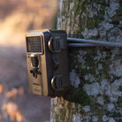 DÖRR Wildkamera Mini Black 30MP 4K, mit DÖRR Kabelschloss an einem Baum befestigt